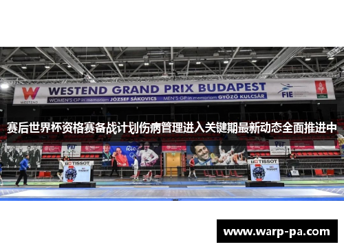 赛后世界杯资格赛备战计划伤病管理进入关键期最新动态全面推进中